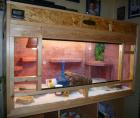 VERKAUFE KOMPLETTES TERRARIUM MIT BELEUCHTUNG EINRICHTUNG