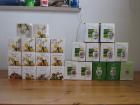 Hutschenreuther - Ostern Jahresei 1985-2009