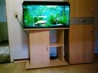 Aquarium 112 l 80x35x40 mit 2 Axolotl Unterschrank und Zubehör
