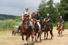 Reitunterricht Westerntraining Beritt und Ausritte