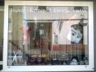 Hundesalon Katzensalon Behandlung ohne Narkose
