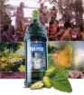TAHITIAN NONI Juice Saft Original von TNI.