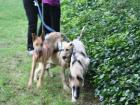 Pfiffige Labimixe 2 Jungs und 2 Mädels