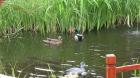 SPREEWALD-F E R I E N. -. Zimmer. -. SPREEWALD. -. Lübbenau. Ab. 20 Euro