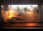 Terrarium mit Zub. Unterschr Lichtkasten 120x60x80