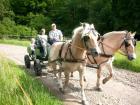Ferien auf dem Pony -und Reiterhof Mai