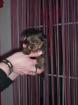 Yorki welpen