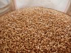 1. Strohpellets zertifiziert Einstreupellets Weizen Raps