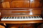 Klavier Piano