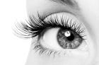 Ausbildung zum XXL Lashes Stylisten-Workshop semi permanente Wimpernverlängerun
