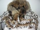 Just Cavalli Jacke Echtes Fell 36/38 einTraum