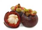 Wellnes- und Naturprodukte