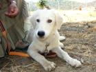 Monty und Beauty suchen Eltern