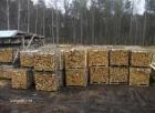 Kaminholz Buche Eiche Fichte von Restfeuchte 18 Kamer getrocknet