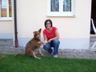 Hundeschule Harmony - Der Weg ist das Ziel