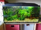 Aquarium 80x35x40 cm 112 l Fassungsvermögen KOMPLETT
