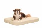 Warum ein DoggyBed Medical Style Hundekissen