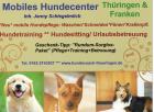 Hundesitting durch Hundetrainerin liebevoll zuverlässig