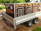 Hundetransportbox