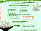 Reiki Marpingen Behandlungen Gutscheine zum Fest