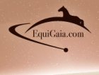 EquiGaia - Pferdemarkt
