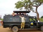 Individuelle Safaris in Kenia Tansania