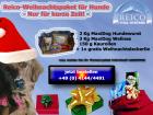 Reico-Weihnachtspaket für Hunde - Nur für kurze Zeit -