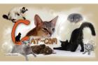 Die Cat-Com eine Gemeinschaft von Hobbyzüchtern informiert.