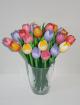Tulpen Clogs und Souvenirs
