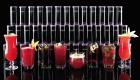 Nebenjob - Vermarktung von Gastroprodukten an Bars Hotels