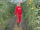 Ernte helfer mitarbeiter