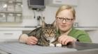 Tierarzt Frankfurt VETPETCARE Dr. Cavalcanti