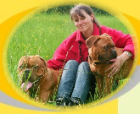 Hundepension -tagesstätte Verhaltenstherapie