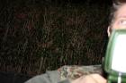 RISK Management and Troups Exersise Secuirty Sniper and SWAT Training SECURITY