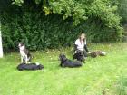 Mehr als nur Hundeschule. Hundeerziehung ohne Gewalt