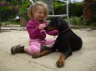 Dobermann Welpe Hündin 4 1/2 Monaten alte mit FCI Stammbaum super Charakter