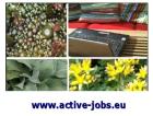Ortsunabhängiges Stellenangebot Teamarbeit online von zu Hause aus
