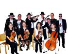 Geigen für Auftritte mit Stringensemble gesucht E. L. O.