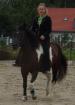 Reitbeteiligung auf Flotter Pinto Stute