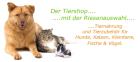 Riesen-tiershop. de - Der Shop für Tiernahrung und Tierbedarf im Internet