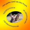 Hundeschule-Dogcoaching-Pension hier gehts rund um den Hund