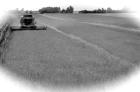 450ha Ackerfläche