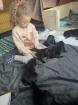 Flat Coated Retriever Familien Hunde