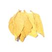 Virginia Lemon Premium - Tabakblätter Deko Duft