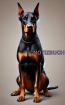 Notizbuch Dobermann Buch m. Hundemotiv Kalender Tagesplaner Geschenkidee G