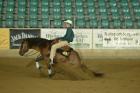 Deckanzeige QH SB B DDY KILEBAR JAC