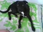 Suche ein neues Zuhause