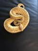 4 königspythons mit Terrarium zu verkaufen