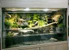 Aqua-Terrarium / Paludarium z. B für Krokodilschwanzechsen