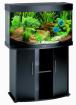 Komplettes Aquarium mit Fischen Pflanzen Zuberhör u. Deko